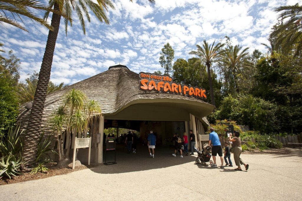 san diego zoo