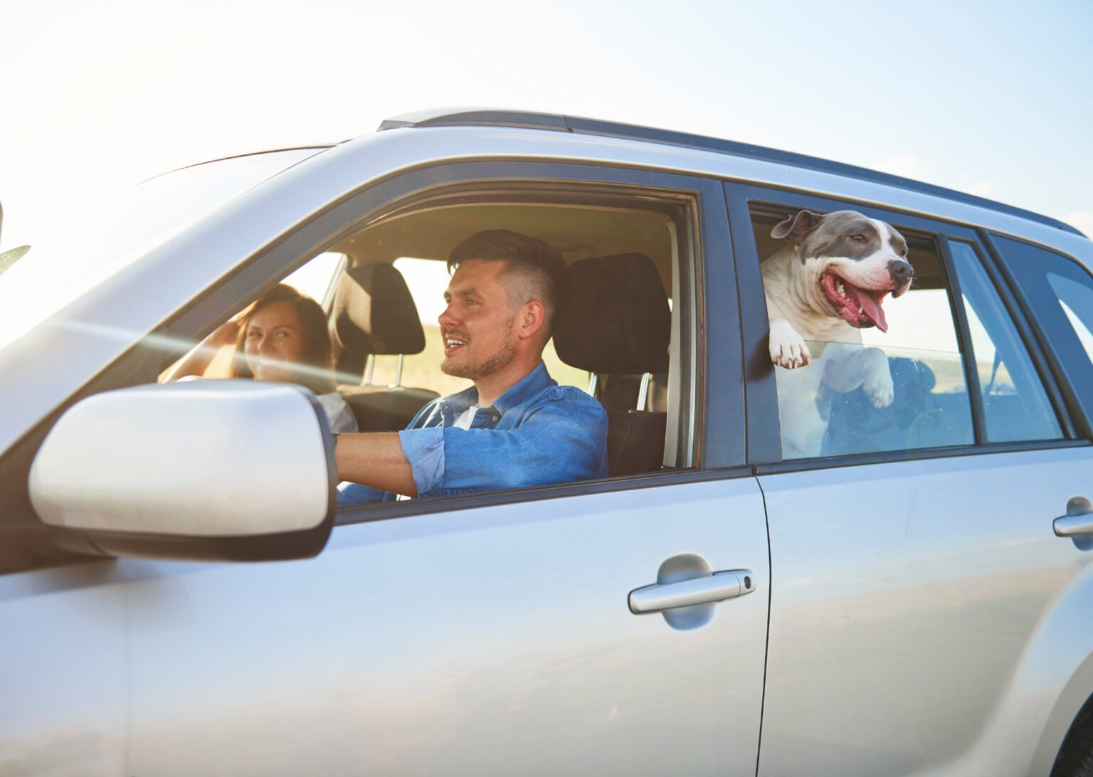 a family driving in a car with a dog in the back seat looking out the window