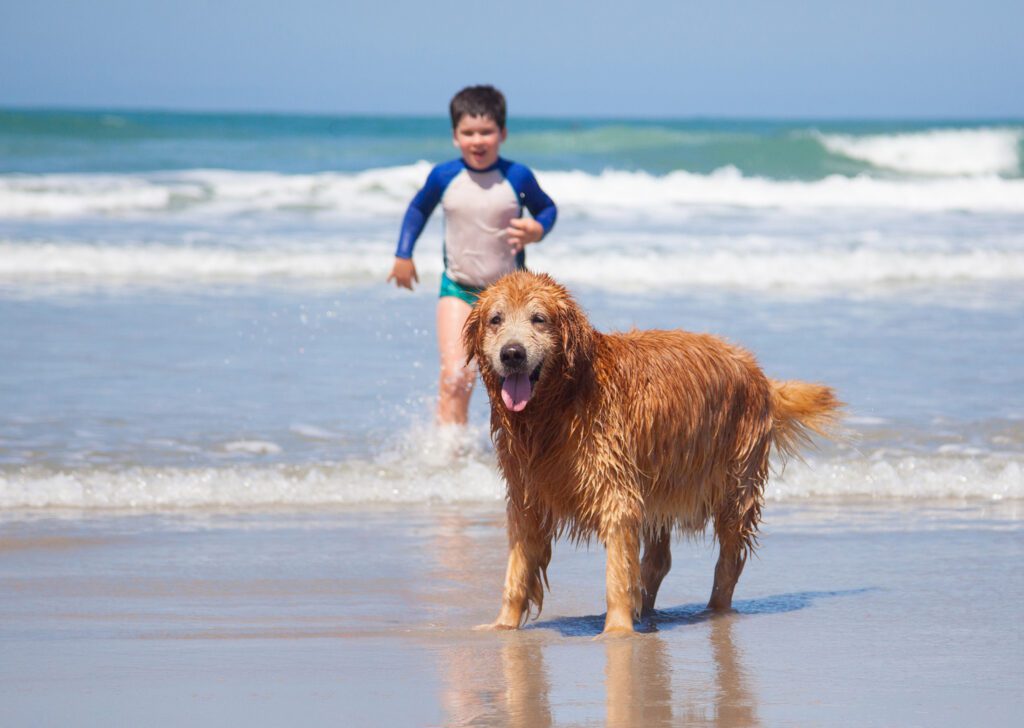 Boy and dog running on the beach