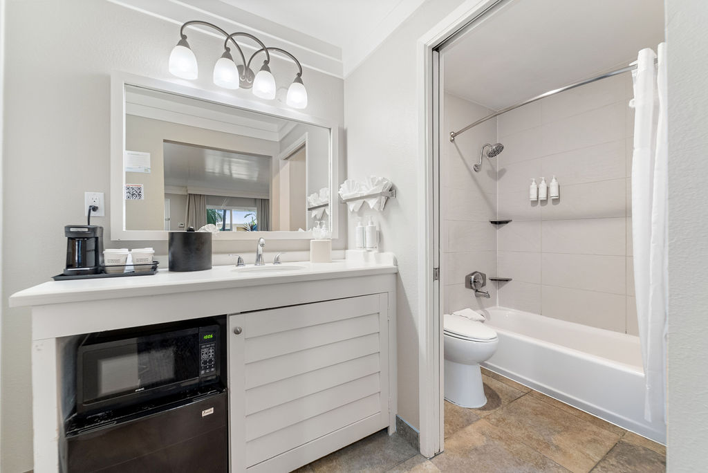 standard room bathroom