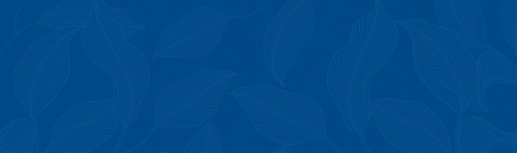 https://www.daysinnhc.com/wp-content/uploads/sites/6/2025/02/Footer-BG.png