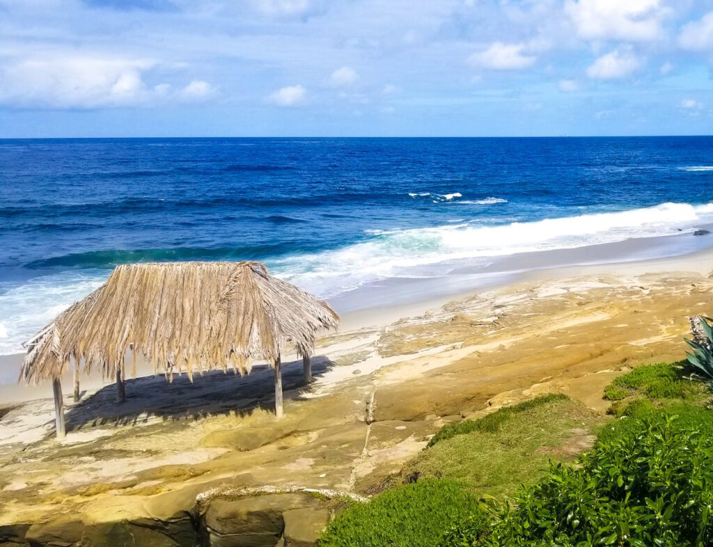Windansea beach