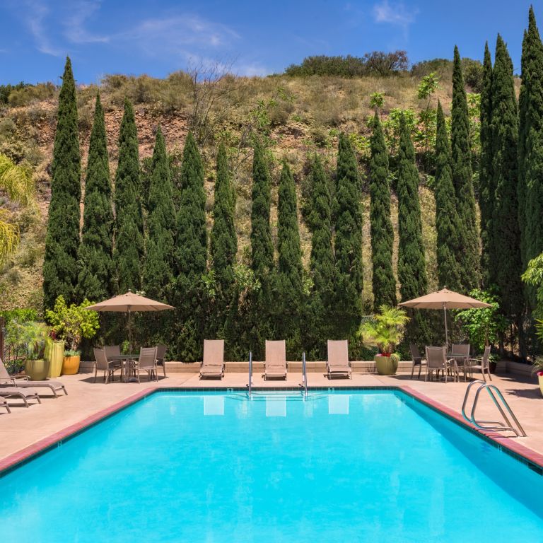 Pool with trees in the background