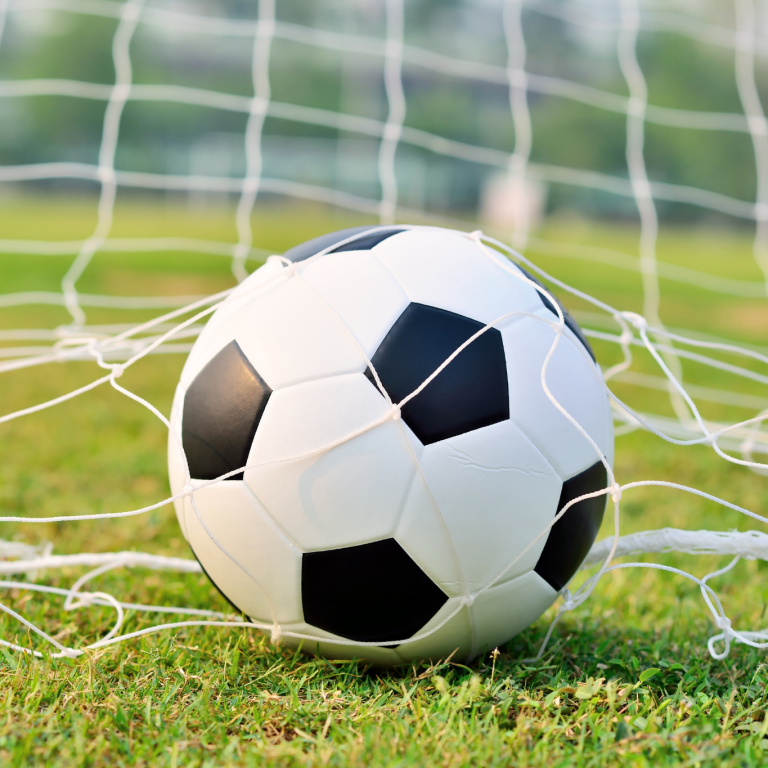 a soccer ball in a goal net