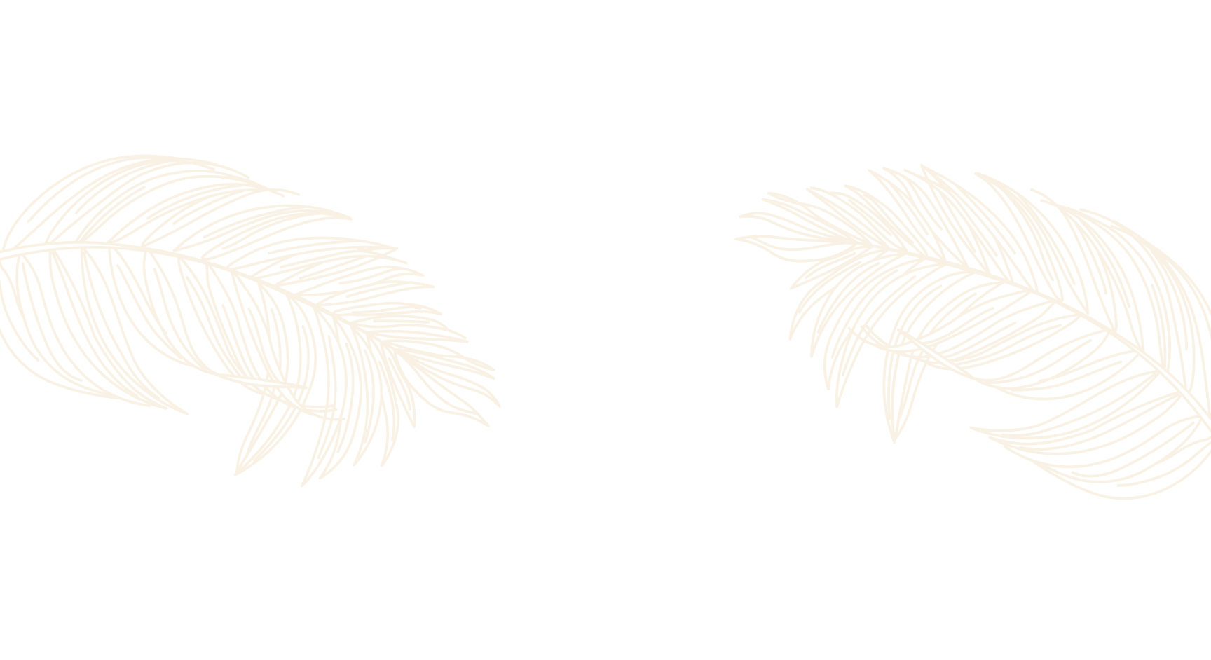 palm background