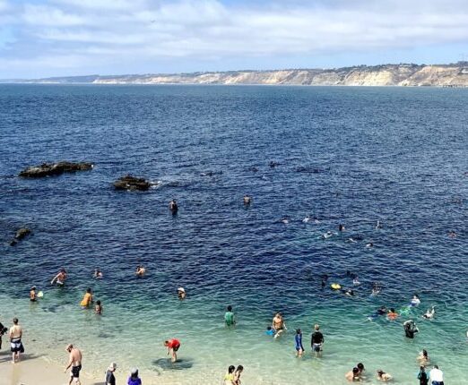 The Best Activities for San Diego Spring Break