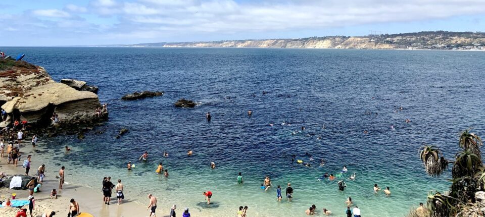 A scenic view of swimmers and beachgoers enjoying the clear blue waters and rocky shoreline at La Jolla Cove.