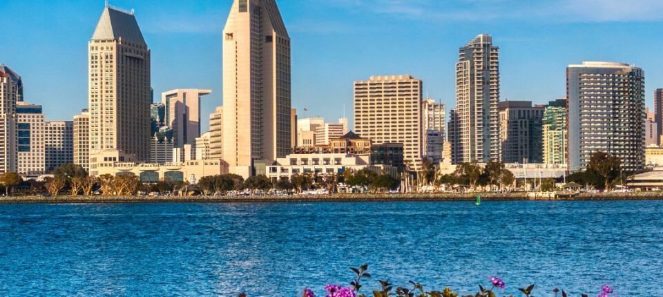 the San Diego Skyline