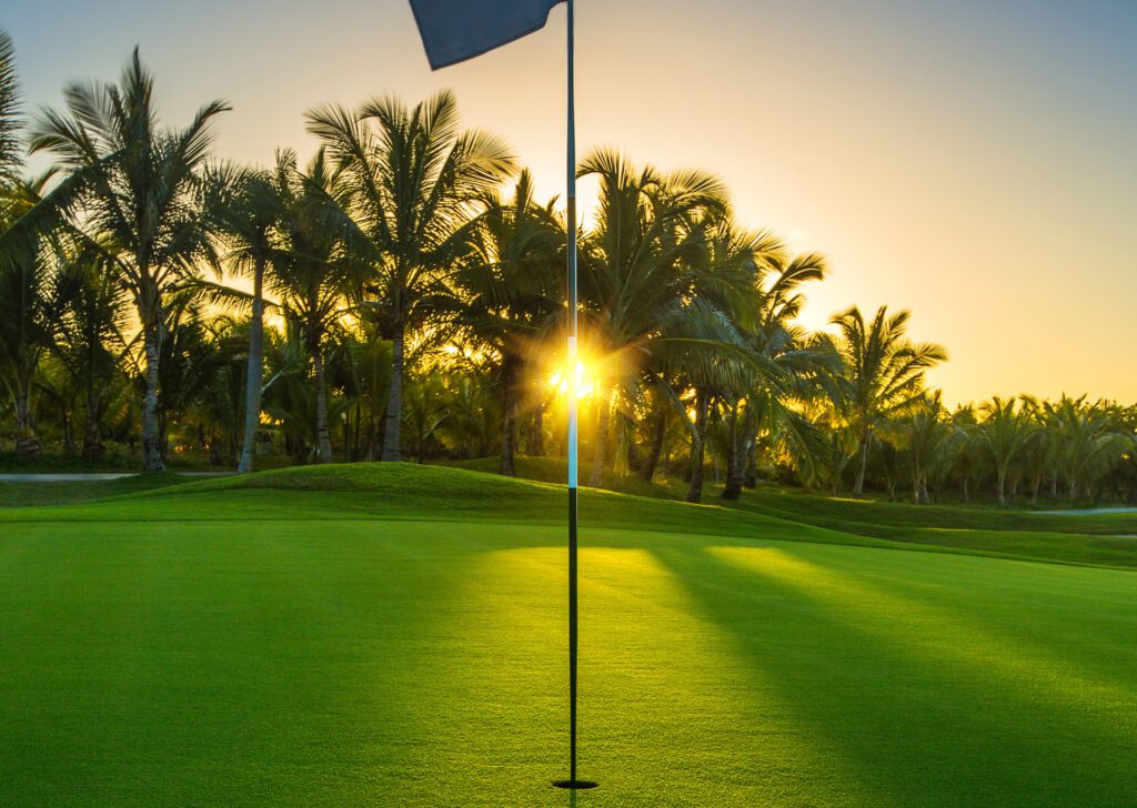 sun rising behind palm trees on a golf course