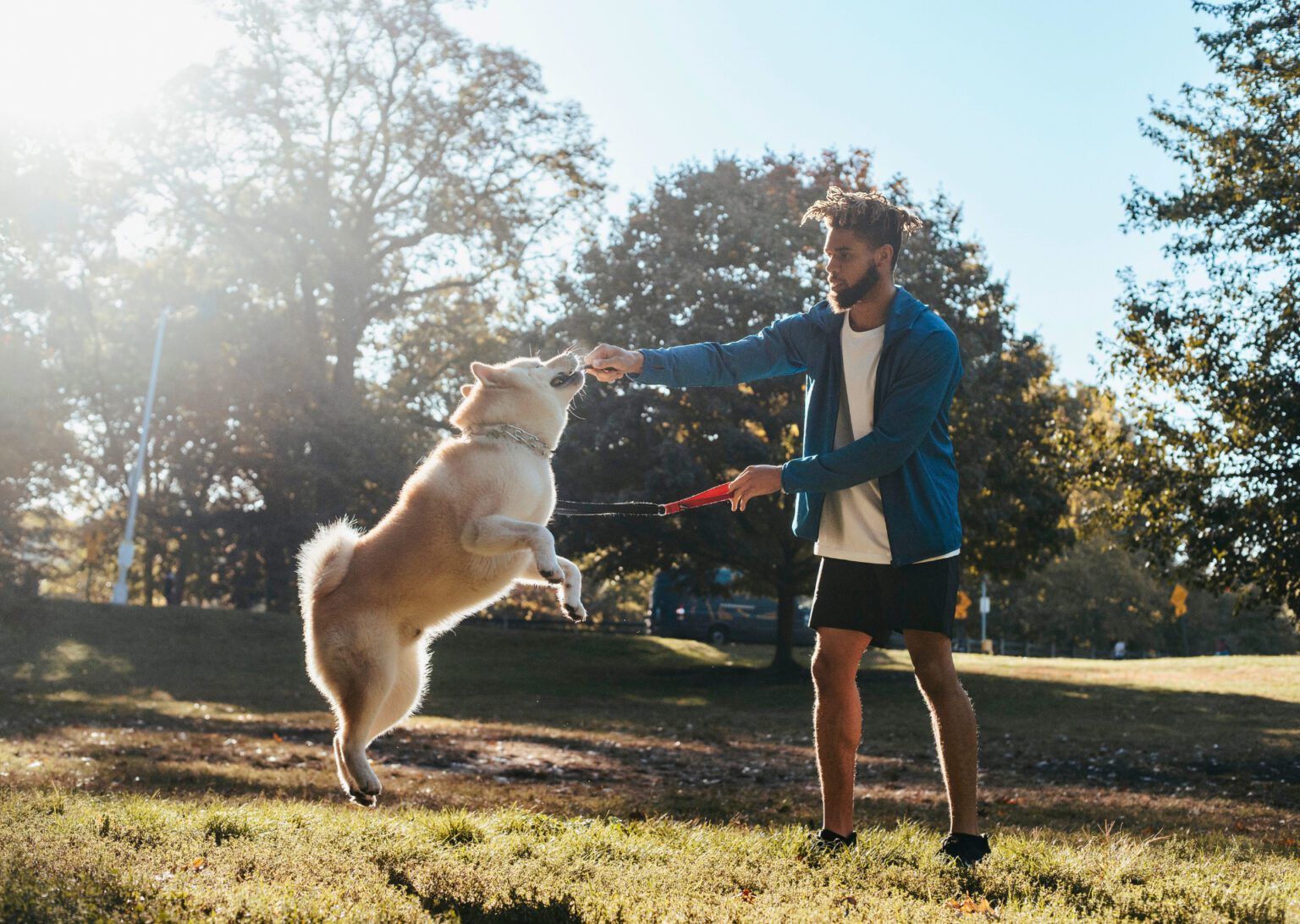 Man playing with dog jumping on leash outdoors.