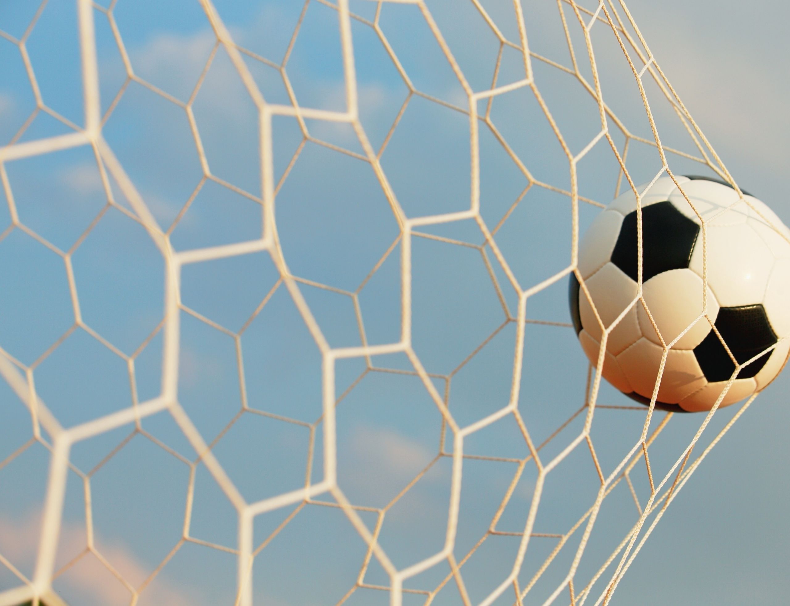 Soccer Ball against a net