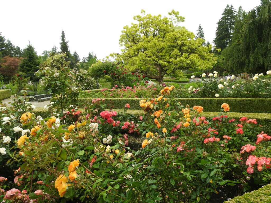 botanical garden