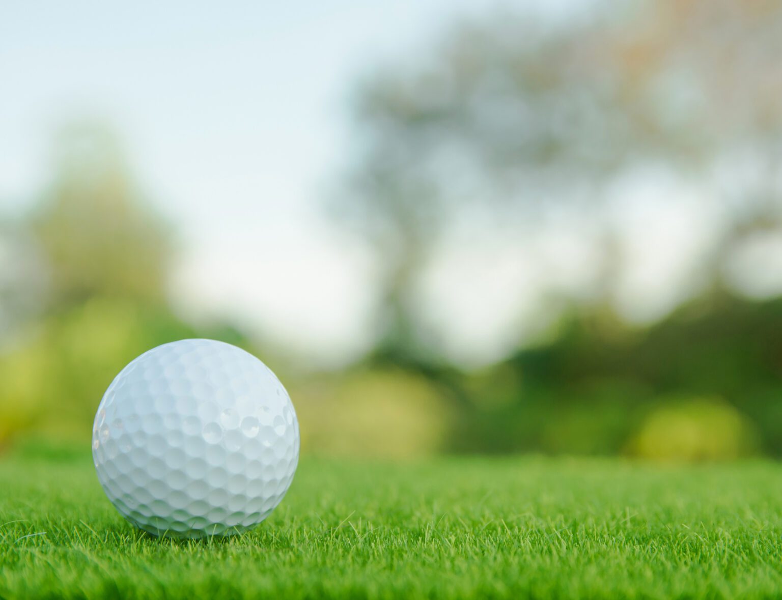 golf ball in grass