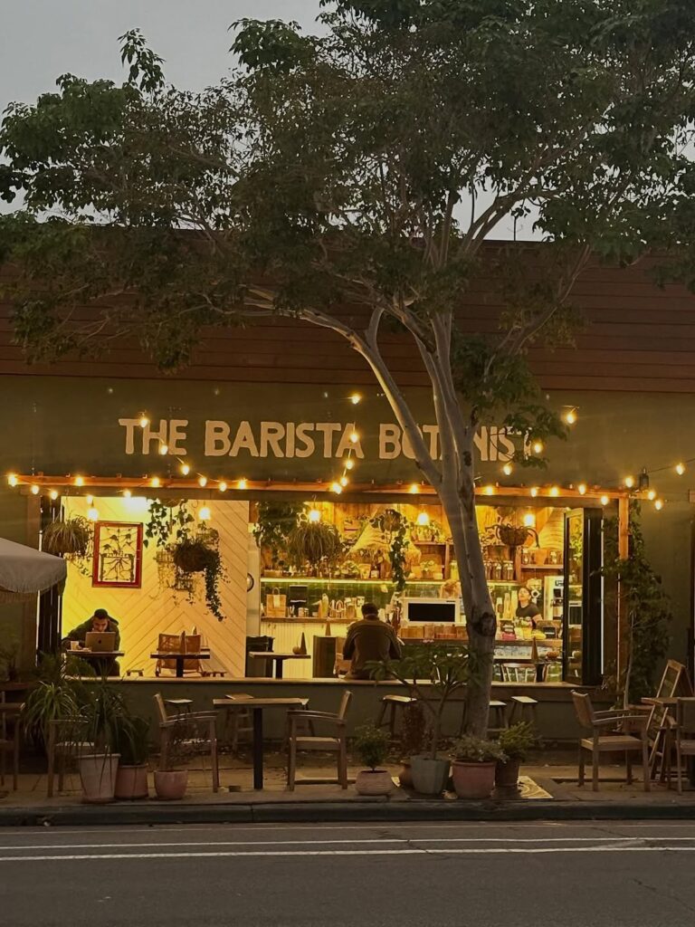 front of building with tree