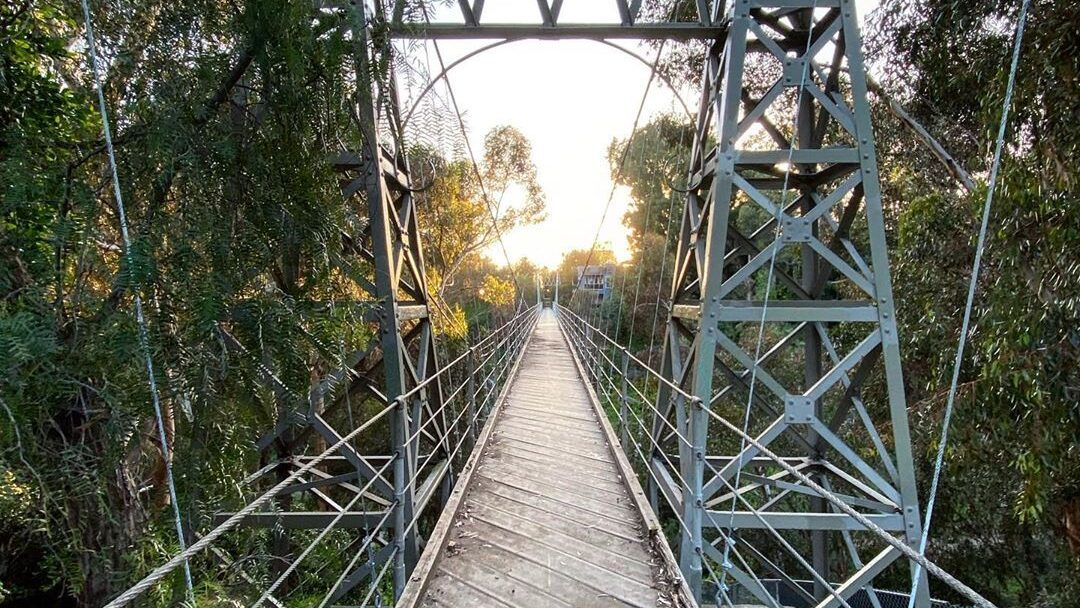 A narrow suspension bridge with steel trusses stretches through a canopy of trees, illuminated by the warm glow of sunset.