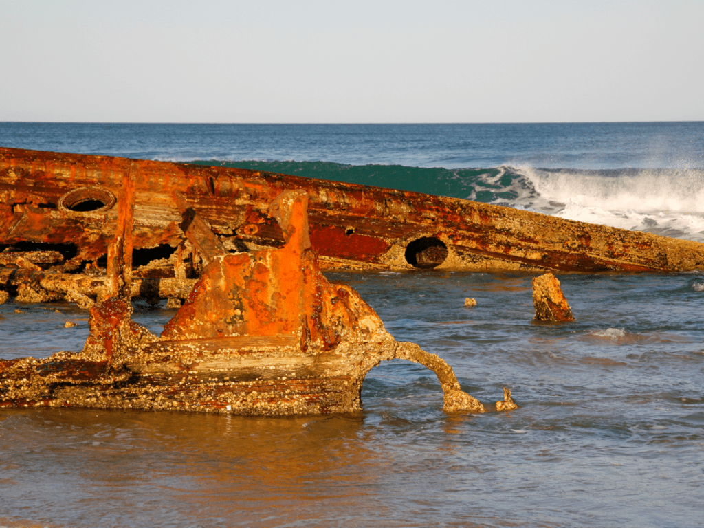 shipwreck coronado