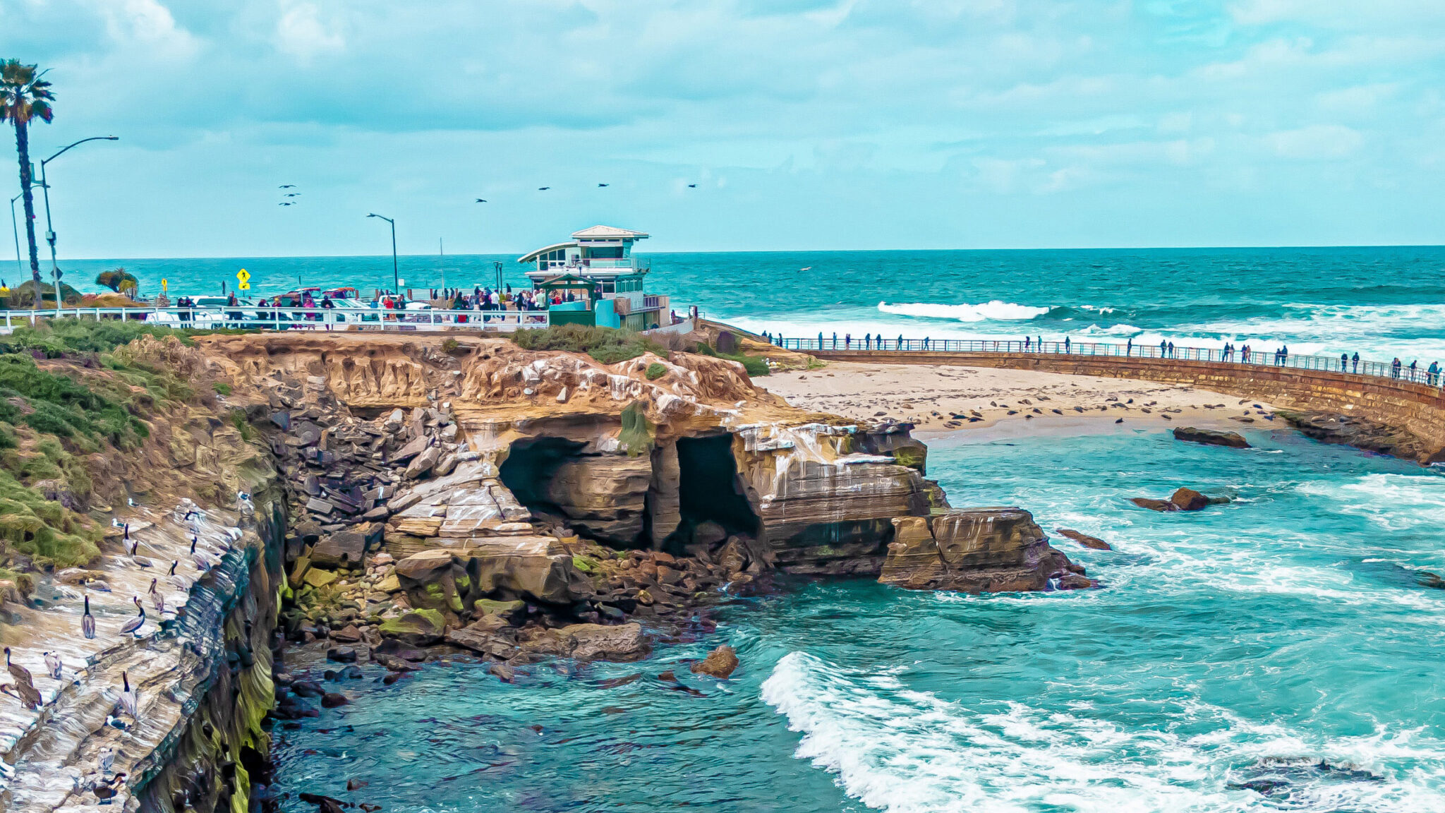 La Jolla Cove